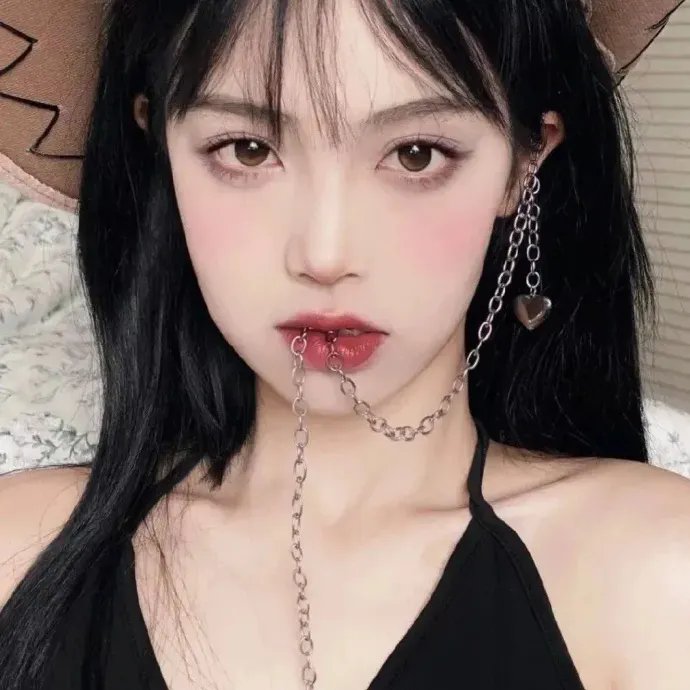 托梅斯的导盲犬